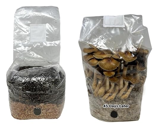 All-in-One Mushroom Grow Bag for Manure Loving Mushrooms + Spore Germination Jar! (4LB)