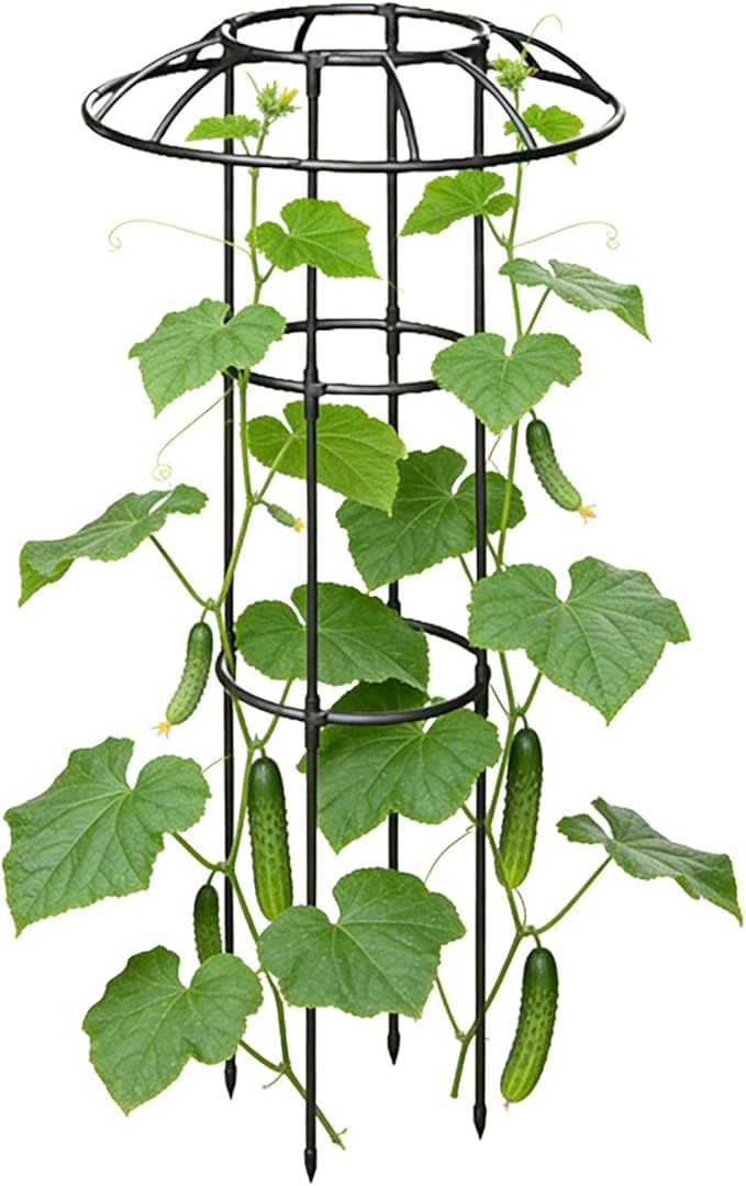 Garden Umbrella TrellisVertical Decorative Climbing Plants SupportOutdoor Flower Support Cage | for Vine Rose Clematis Vegetable Dragon Fruit Cucumber Hydrangeas Jasmine