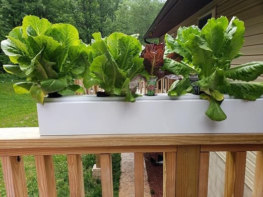 Bulk Go Grow Hydroponic Nutrients for All Veggies and Plants 5 Gallon – Go Grow Planters