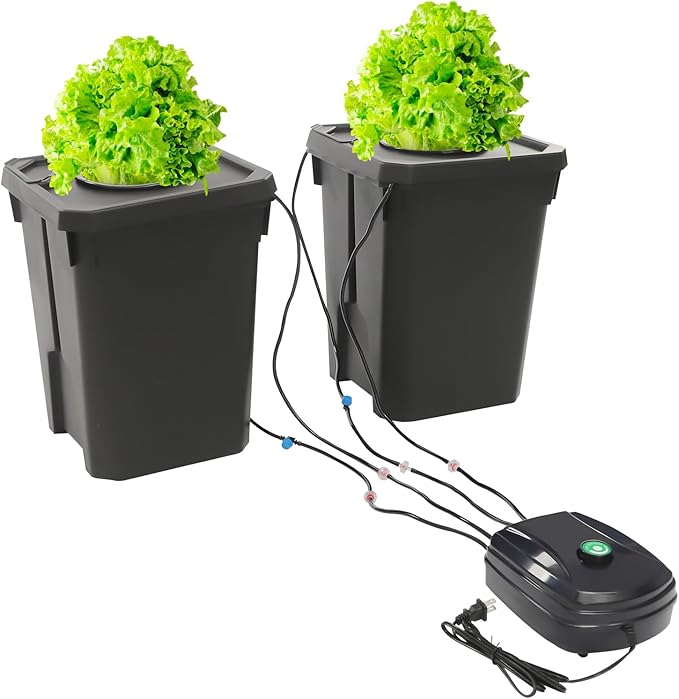 5 Gallon Deep Water Culture Bucket System- Complete 2 Bucket DWC Hydroponics Kit with 12W Air Pump Net Pots &amp Clay Pebbles Ideal for Indoor Gardening of Tomatoes Lettuce Strawberries