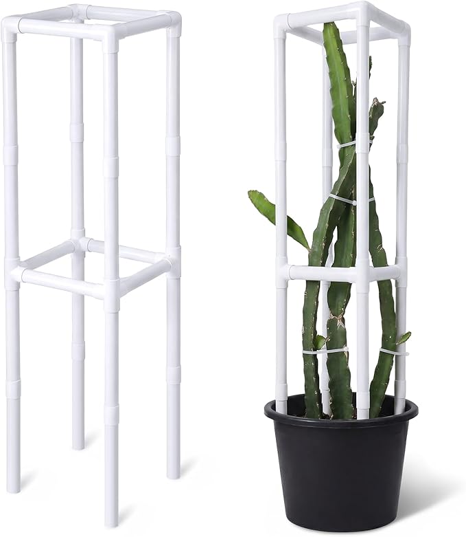 Dragon Fruit Trellis Square 12 x 55 Inch Schedule 40 PVC Plant Support for Climbing Vines Tomatoes Cucumbers Beans Vertical Garden Trellis Requires Assembly