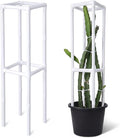 Dragon Fruit Trellis Square 12 x 55 Inch Schedule 40 PVC Plant Support for Climbing Vines Tomatoes Cucumbers Beans Vertical Garden Trellis Requires Assembly