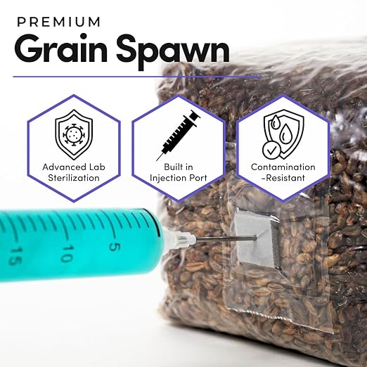 Mycelium Rye Berries Grain Spawn | 4-Pack (3 lb Each) | Pre-Sterilized Mushroom Substrate with Self-Healing Injection Ports | Bulk 12 lb Supply for High-Yield Cultivation