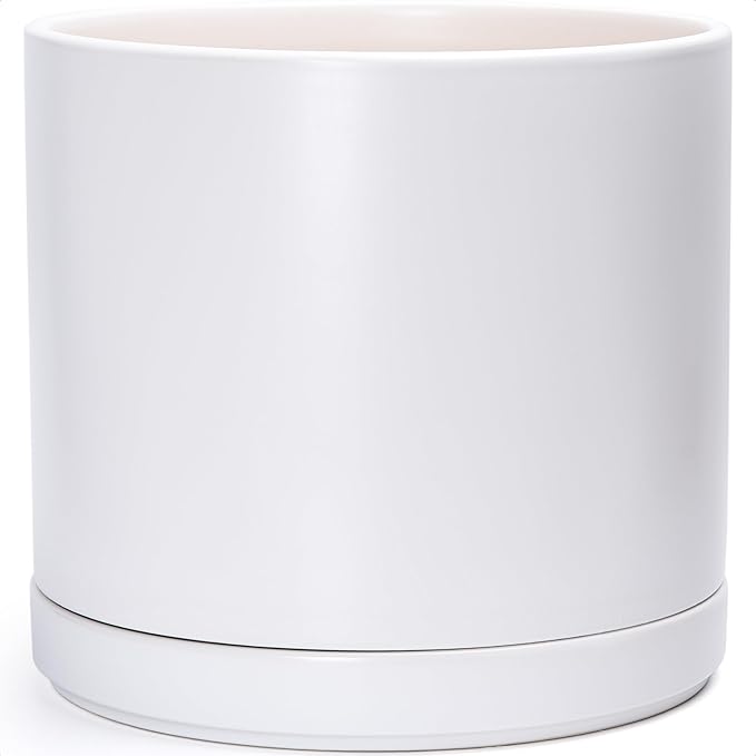 D'vine Dev 16 Inch Ceramic Planter Pot with Drainage Hole and Saucer Indoor Cylinder Round Planter Pot White 94-O-H-1