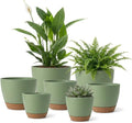 LIFFY Plant Pots 87.576.565.55 Inch Plastic Self Watering Planters with Drainage Holes &amp Saucers 7-Pack Green Nursery Planting Pot with Deep Reservoir for Indoor Outdoor Plants