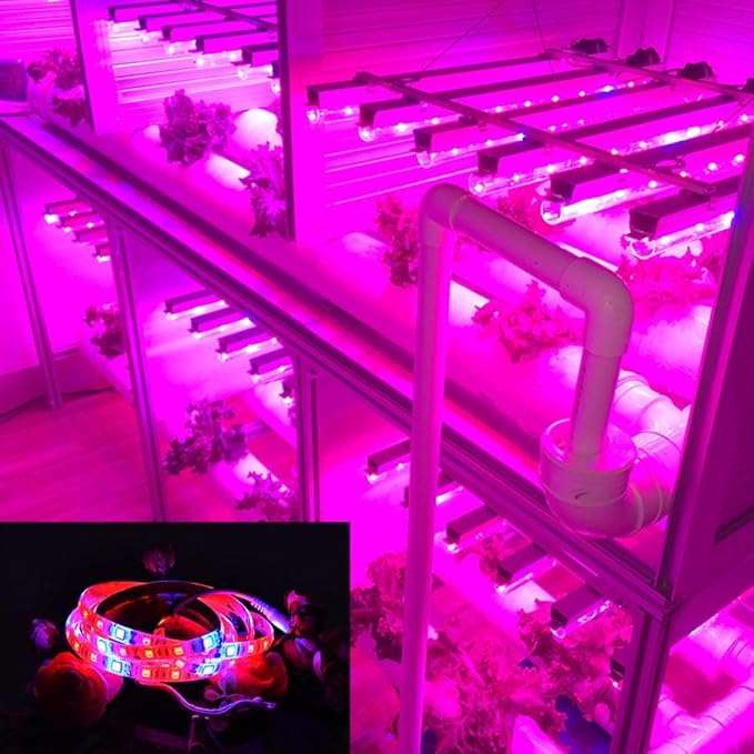 Fengyan Landscape Lights 4 Sets 5m LED Plant Grow Light Strip 12V 5050 Plant Light Strip Full Spectrum Plant Light Red:Blue 3:1 4:1 5:1 LED Street Lamp (Color : 3 red :1 Blue Size : 5M IP20)