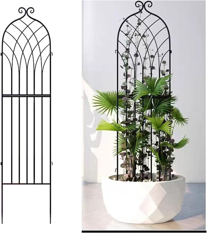 Garden Trellis for Climbing Plants Outdoor Iron Trellis for Potted Plants Flowers Vine Vegetable Indoor Outdoor (Size : 200 * 52CM/78.8 * 20.5IN)