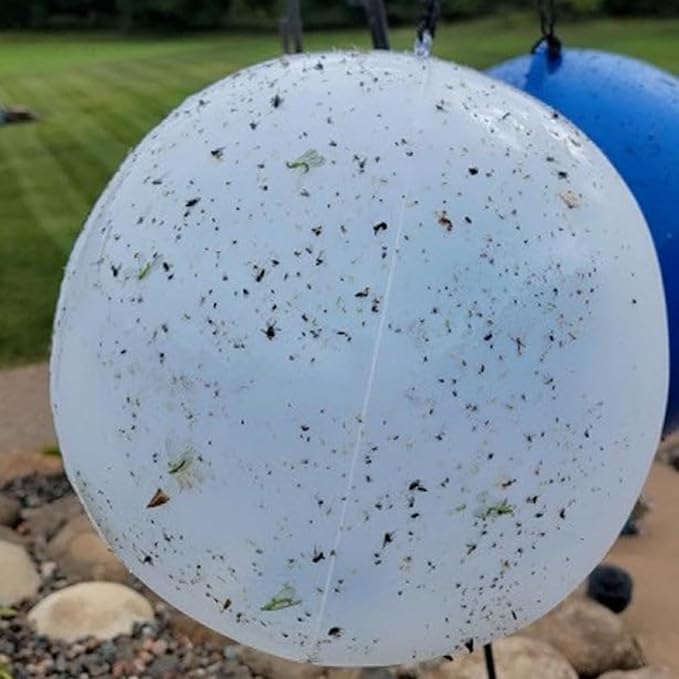 Bug Ball Mosquito Ball Starter Kit - Biting Fly and Insect Trap Pack of 3