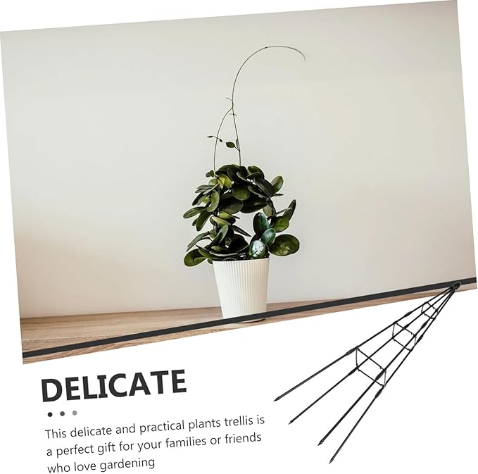 Flower Support Plant Climbing Frame Potted Plant Flower Support Garden Trellis Decorative