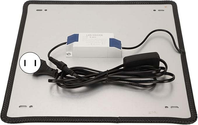 LED Grow Light Professional Low Heat Radiation 1000W 85‑265V Safety LED Plant Light for Greenhouse (US Plug)