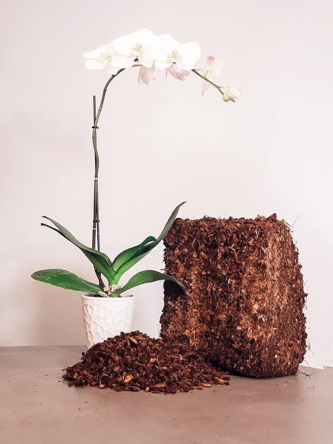 Coco Coir Husk Chips 2-Pack – 2.4 Cu. Ft. Compressed Coconut Coir Bricks 10 lb. Natural Substrate for Indoor &amp Outdoor Use Orchid Bark Alternative Orchid Potting Mix Indoor Plant Soil