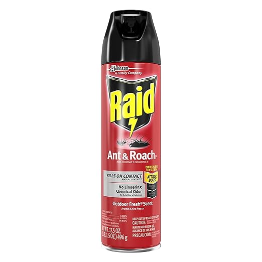 Raid Ant and Roach Killer 17.5 Ounce (Pack of 4)