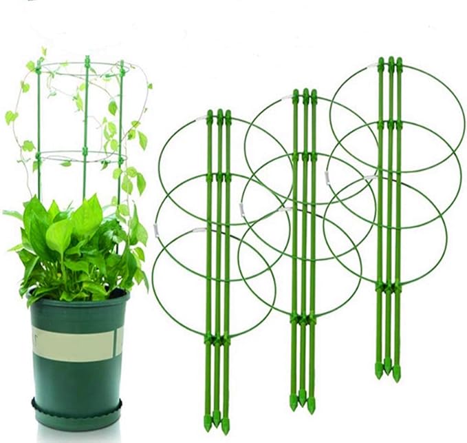 Tomato Cage Plant Support Ring Garden Trellis Flower Iron Support Climbing Plant Grow Cage Green Supporter Climbing Plants Set of 3 (3pack-30'')