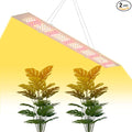 200W LED Plant Lights 110V Full Spectrum Grow Lights 100-277V Indoor Hydroponic System Lamps UV/IR Seedings Fill Lamp Sunlight Greenhouse Succulent Flowers Moss Fruits Potting Cactus Lighting