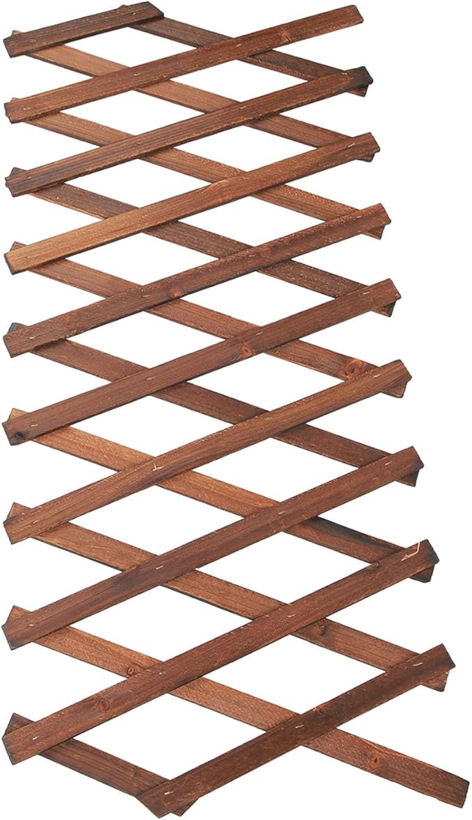 Trellis Trellis for Climbing Plants Outdoor Expandable Plant Trellis Garden Trellis for Climbing Garden Trellis for Climbing Plants for Patio Garden