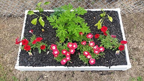 2 x 4 Stack-able White Vinyl Raised Garden Bed