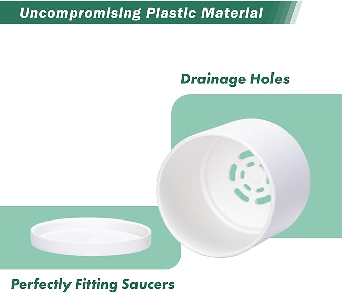 D'vine Dev 10 Pack Plastic Plant Pots for Plants 6.5/6/5.5/5/4.5/4/3.5/3/2.5/2 Inch Indoor Planters Cylindrical Succulent Pot with Drainage Hole and Saucer White 74-S-A