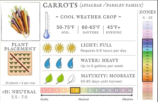 Scarlet Nantes Carrot NON GMO (10 Lbs)