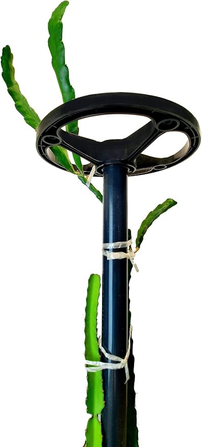 Dragon Fruit Trellis Tower Plant Cage Cactus Climbing Support (60-inch/Dark Gray (Schedule 80))
