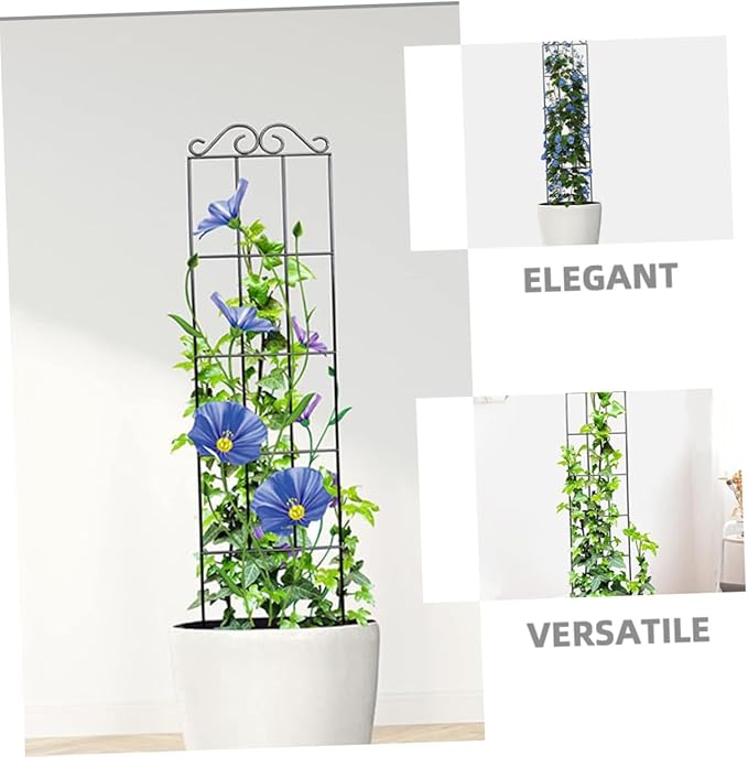 4pcs Black Metal Plant Frame Trellis Support 50x15cm for Climbing Flowers and Vegetables Garden and Indoor Outdoor Plant Support Stakes