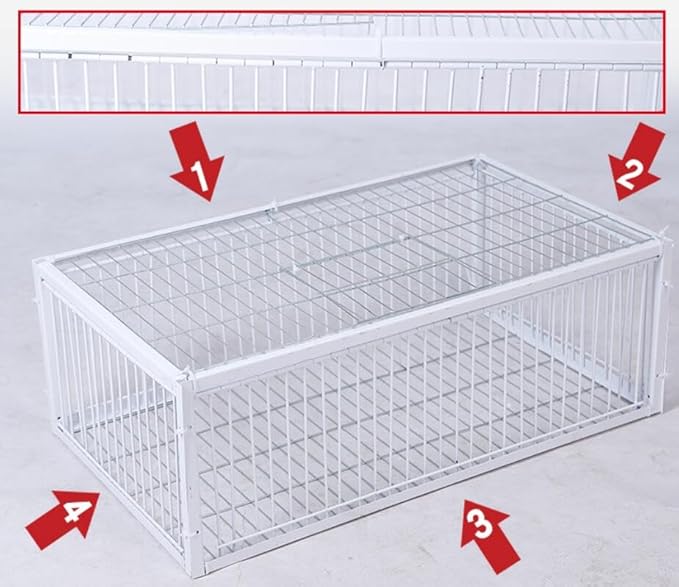 Foldable Galvanised Pigeon Trap Cage Humane One-Way Entrance Escape-Proof Design Portable Easy Assembly Ideal Pigeon Coop and Bird Trap Cage for Feral Doves Andowns (15.74X 15.75W X 10.24 H)