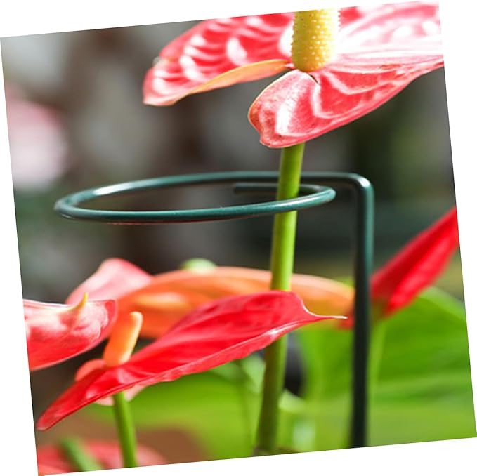 Garden Trellis with Support Clips for Climbing Plants Metal Stakes and Plant Clips for Potted Houseplants and Vines Easy to Install and Durable