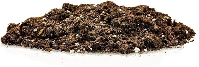 GARDENERA Premium Pothos Potting Soil Mix - Air Cleaning Plant Potting Mix Soil Mix for Pothos Parlor Palm Peace Lily - (4 Quart Bag)