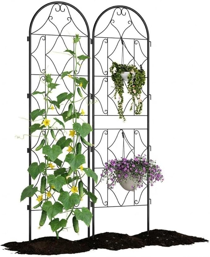 Garden Trellis for Climbing Plants74.8 x 21.6in Outdoor Climbing Rose Trellis2 Pack Decorative Clematis TrellisRustproof Metal Garden Flower Trellis for Patio Lawn Vines Flowers and Vegetables