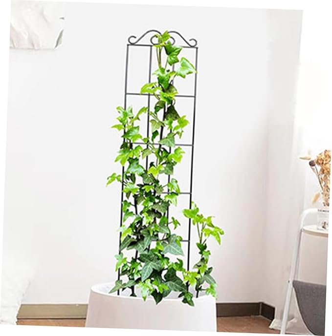 4pcs Metal Plant Support Hoop Trellis for Climbing Vines Vegetables Flowers Potted Plant Stand Frame 50x15cm Black for Garden and Home Use