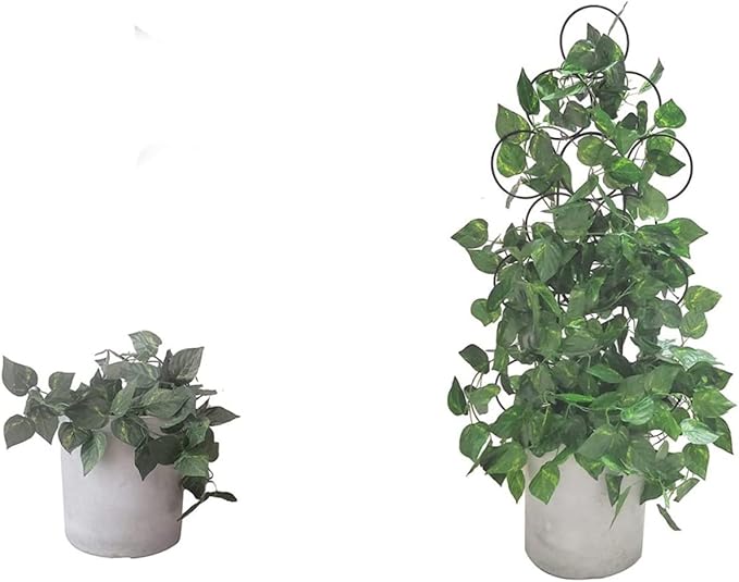 GANAZONO 8pcs Metal Trellis for Climbing Plants Indoor Plant Support Stake Small Garden Trellis Shape and Garden Use