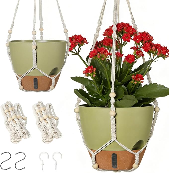 Self-Watering Hanging Planters for Indoor Plants Set 2-Piece Includes Plant Hanging Pot Drainage-Hole Hanging Pot and Hanging Basket Rack (10 Inches Green)