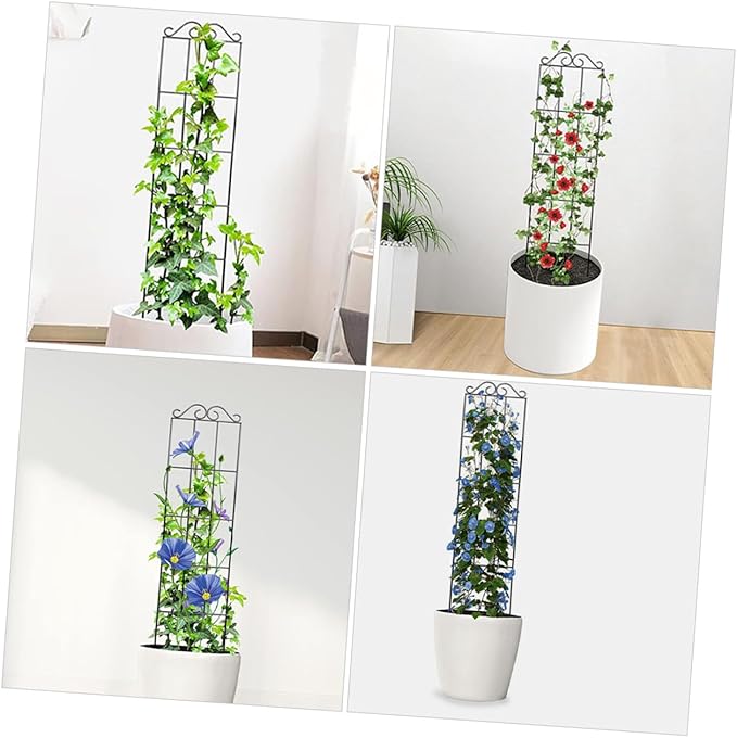 Balacoo 4pcs Metal Garden Climbing Frame Trellis Plant Support for Vines and Potted Plants 50x15cm Black Steel Support Rings for Home and Outdoor Greenhouse Stem Climbing