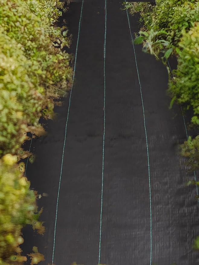 Weeds Barrier Fabric Garden Weeds Control Fabric Heavy Duty Woven Ground Cover Weed Barrier Weeds Control Fabric Mat for Garden Raised Bed Landscaping Black(6x50ft)