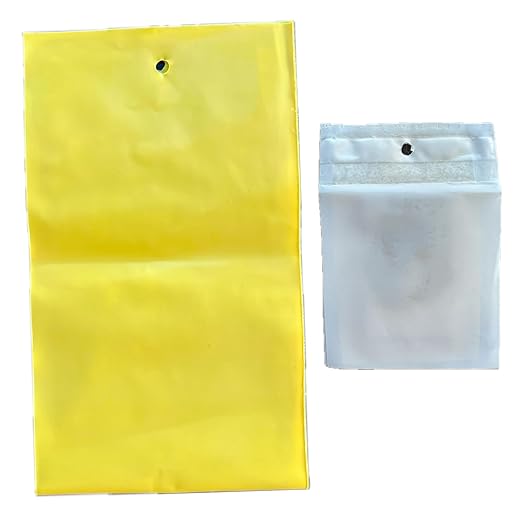 VivaTrap VT-103 Cucumber Beetle Trap &amp Lure (2 Pack)