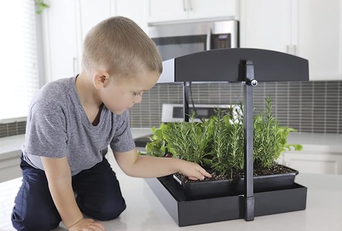 SunBlaster T5HO Indoor Growlight Garden Home Growing Kit