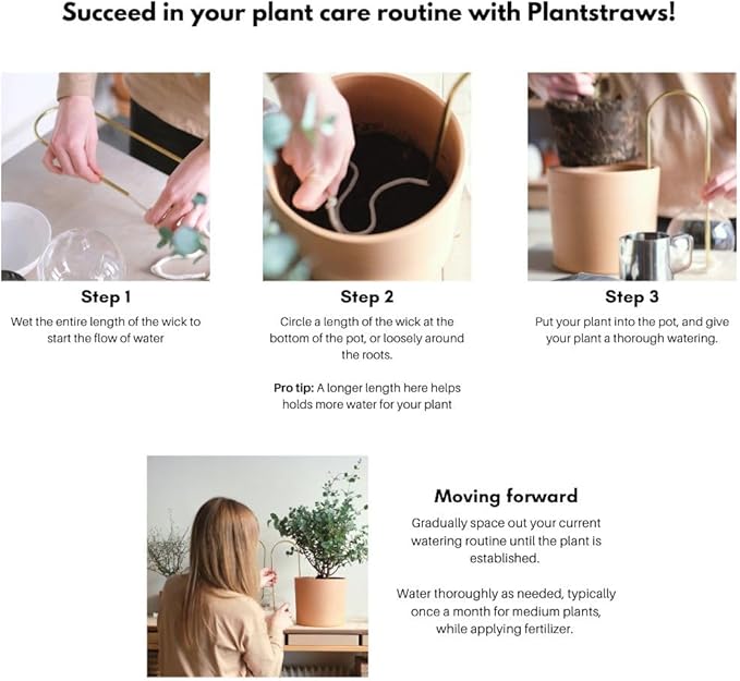 Beautiful Self-Watering Wick System for Effortless Plant Care Automatic Drip Irrigation Sustainable &amp Stylish Scandinavian Design Ideal for House Plants (M Brown Terracotta)