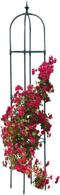 Obelisk Trellis - Garden Obelisk Trellis for Climbing Plants | Metal Plant Obelisk | Heavy Duty Gardening Support Frames | Flower Climbing Frame | Potted Flower Support | Rose Stand for Indoor Outdoor