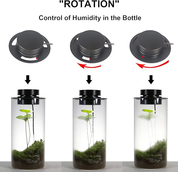 Glass Terrarium Plant Growing Lamp for Vases Up to 4 Inches in Diameter Light with Timer Auto On/Off Indoor Plant Growth Succulent Miniature Gardening Landscape (5W 4IN)