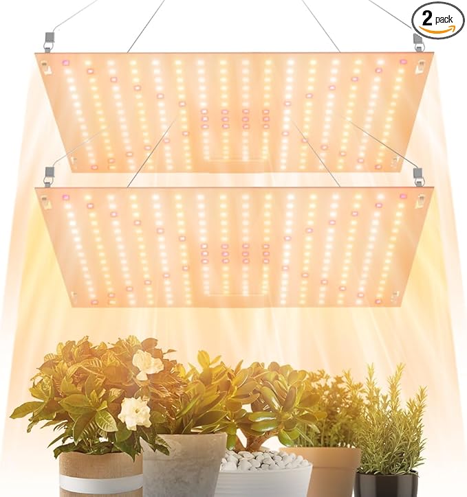 2Pack 500W Indoor Full Spectrum Sunlight Bulbs 100-277V Hydroponic Fill Light UV/IR Greenhouse Tent Seedings Cultivation Lights 110V Sunlike Sapling Vege Fruit Flower Moss Succulent Potted Lighting