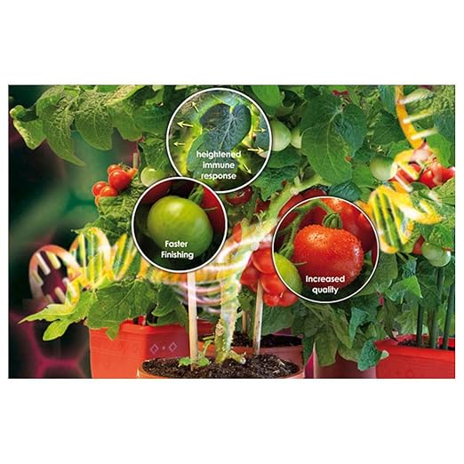 Canna Boost Accelerator 5 litres - NA0181BF