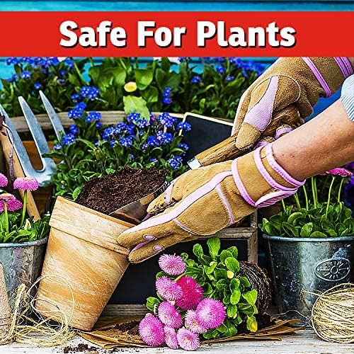 I Must Garden Deer Repellent [2 Pack: Mint Scent + Spice Scent] - Natural Deer Spray for Gardens &amp Plants – Two 32oz RTU Bottles