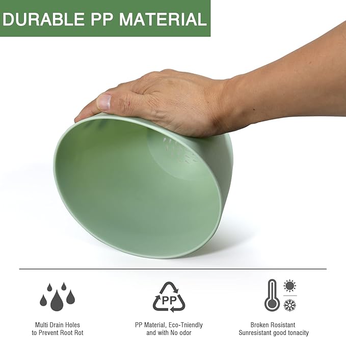 6 Inch Plant Pots 12 Pack Plastic Planters Modern Flower Pot with Drainage Holes and Saucers for All House Plants Herbs Flowers and Seeding Nursery Colorful