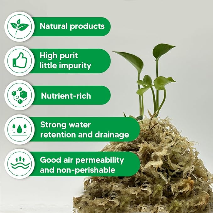 Natural Long Fiber Sphagnum Moss 42QT for Orchid Potting Mix and Moss Pole for Plants Indoor. Ideal for Propagating Plants Maintaining Humidity for Reptiles Isopods in Paludarium Aquascape (12 OZ)