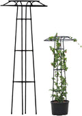 Garden Trellis for Climbing Plants Umbrella Shaped Ventilated Plant Trellis Plastic Wrapping UV Protection Metal for Potted Plant Long 57inGarden for Climbing Plants