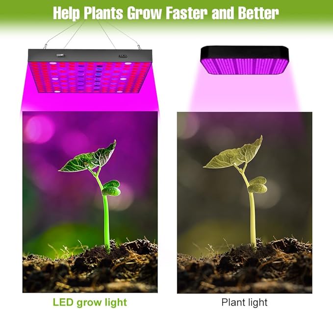 200W LED Full Spectrum Indoor Planting Lamps 100-277V Seedling Cultivation Light 169LEDs Greenhouse Tent Fruit Fill Lighting 110V Hydroponic Flower Moss Potted Cactus Lights US Plug with Hook Hanging