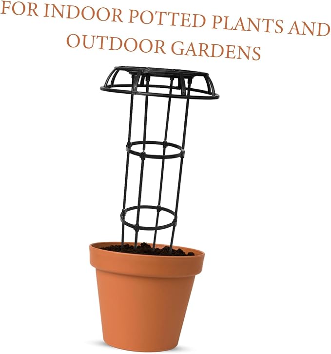 Plant Support Rack Garden Trellis for Climbing Plants Polished No Burrs