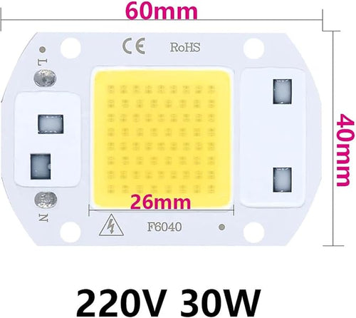 10PCS LED Chip Diode 220V LED Lamp 50W 30W 20W No Need Driver for Flood Light Spotlight LED Full Spectrum Plant Growth Lamp chip(Coldwhite30W)