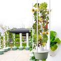 Hydroponics Growing System Garden Hydroponics Growing System Indoor Smart Garden with LED Light Plants Indoor Hydroponic Vegetable Tower for Gardening Lover5-Layer