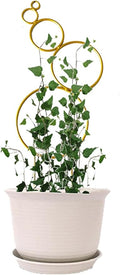 4 Pcs Small Metal Trellis for Potted Plants Indoor Plant Trellis Mini Garden Trellis for Potted PlantsHoyaPothosFlowerMonstera(Color:Gold)