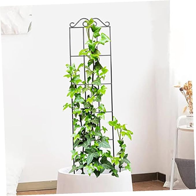 minkissy 4pcs Metal Garden Plant Climbing Trellis Frame for Vines and Flowers 50x15cm Black Plant Support for Indoor Outdoor and Garden